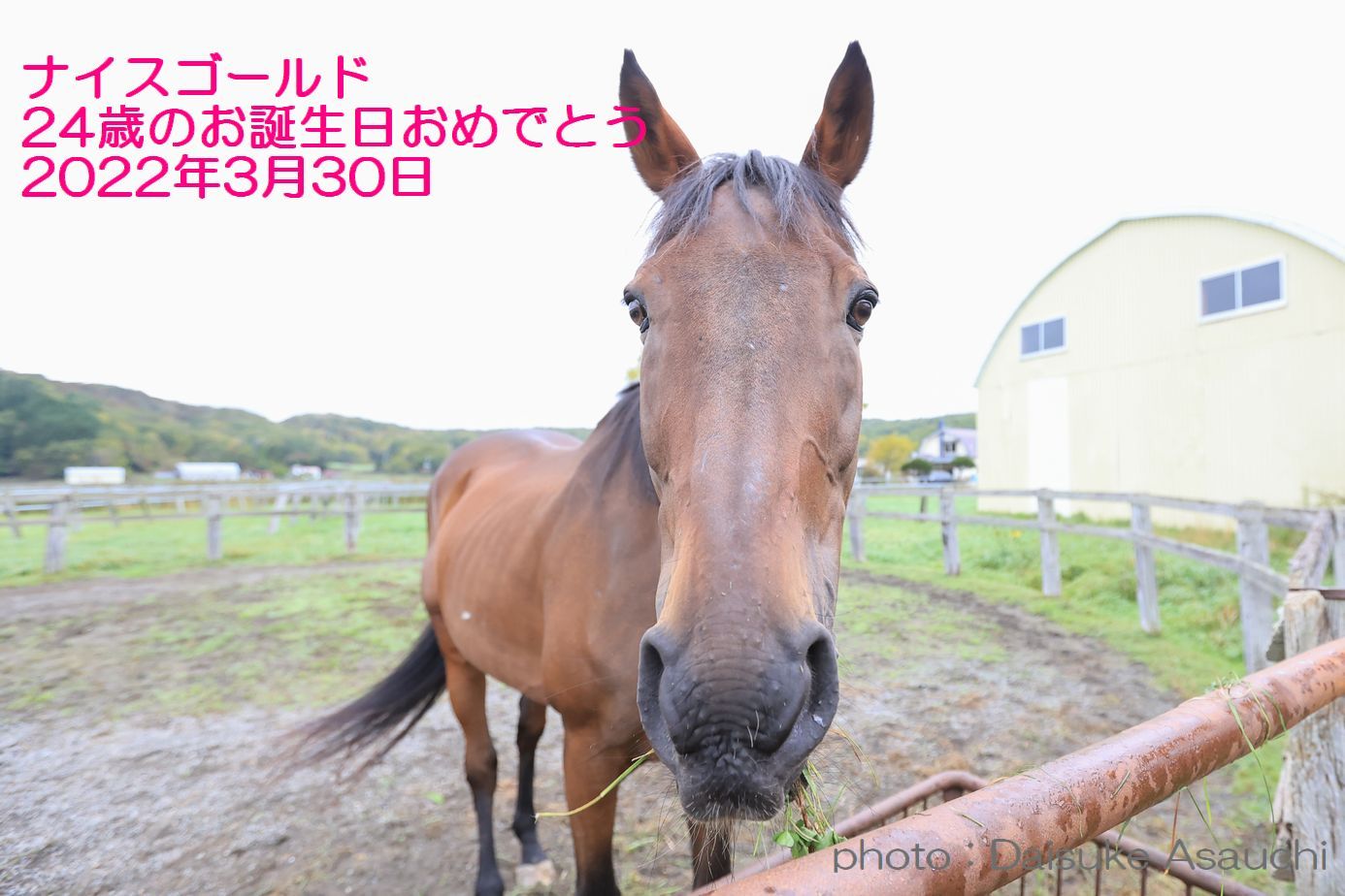 お誕生日おめでとう！！ナイスゴールド