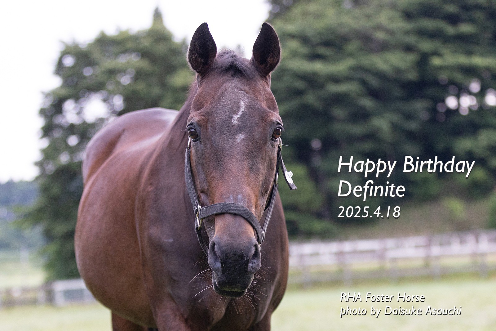 デフィニット　28歳の誕生日おめでとう！