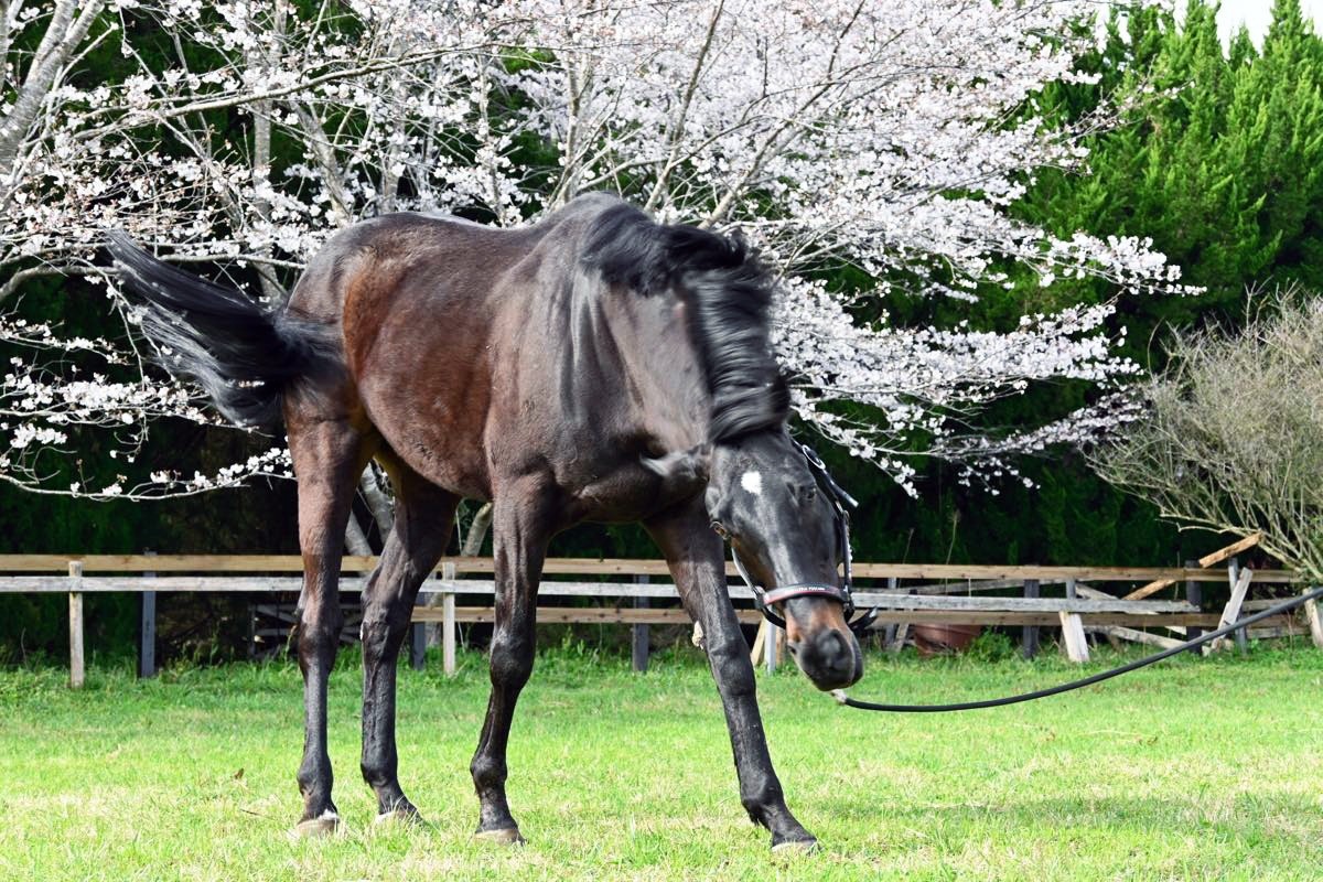 3〜4月　近況のご報告