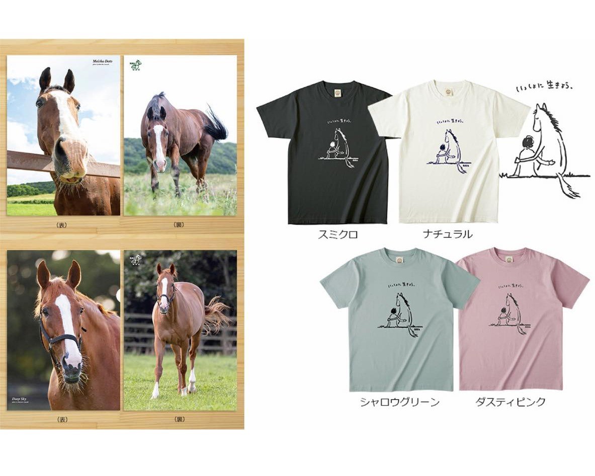 【引退馬協会 公式グッズ】春の新作 クリアファイル＆オーガニックコットンTシャツが登場