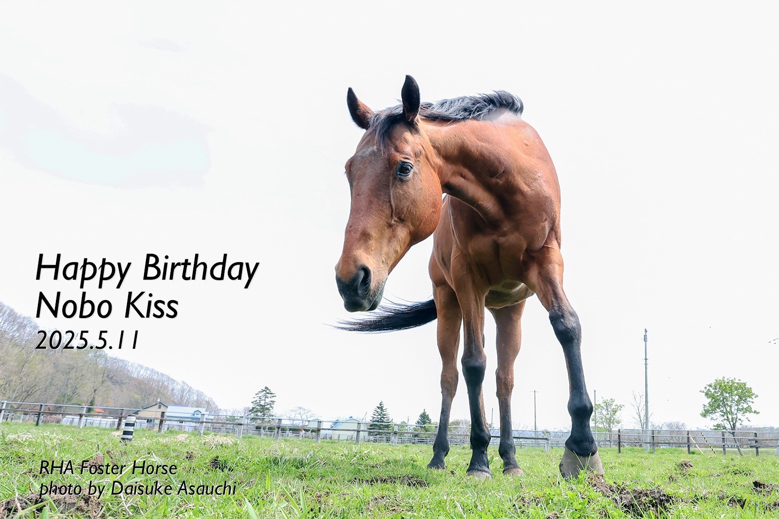 ノボキッス　22歳の誕生日おめでとう！
