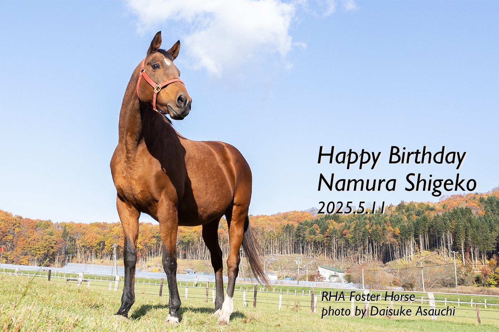 ナムラシゲコ　23歳の誕生日おめでとう！