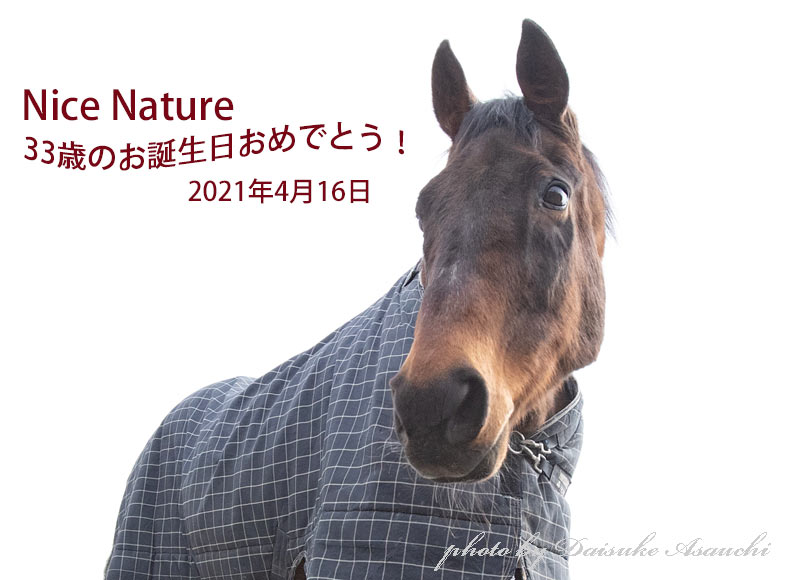 ナイスネイチャ、お誕生日おめでとう！！