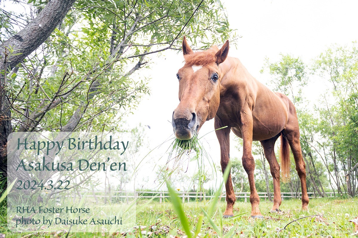 アサクサデンエン 25歳の誕生日おめでとう！
