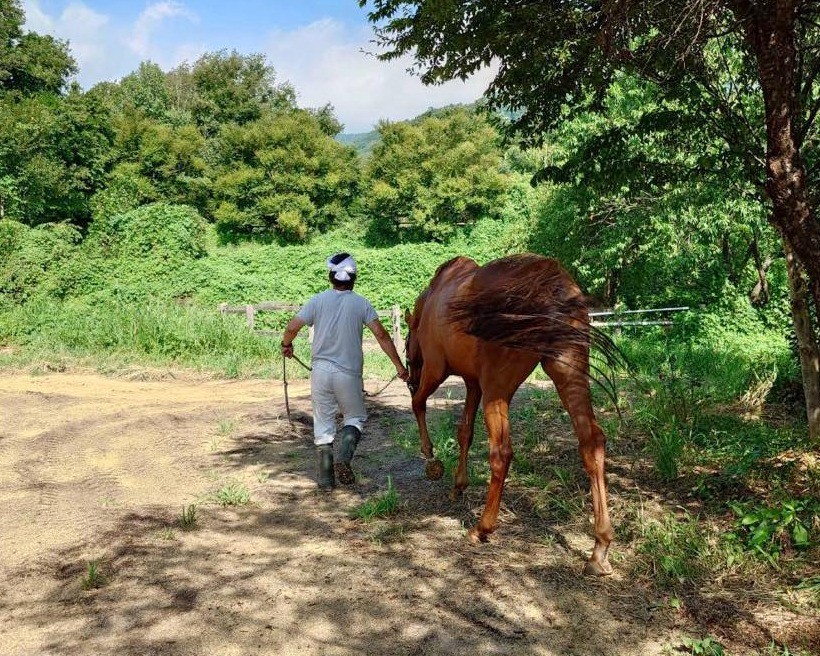 7月の近況報告