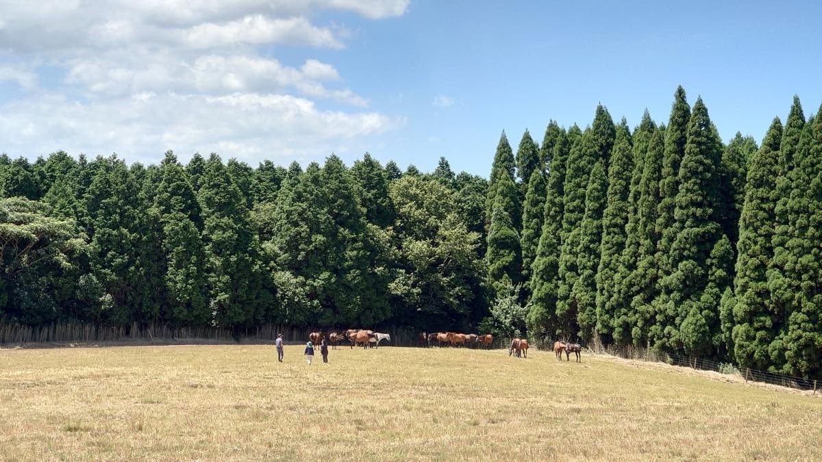 署名活動についてのご報告