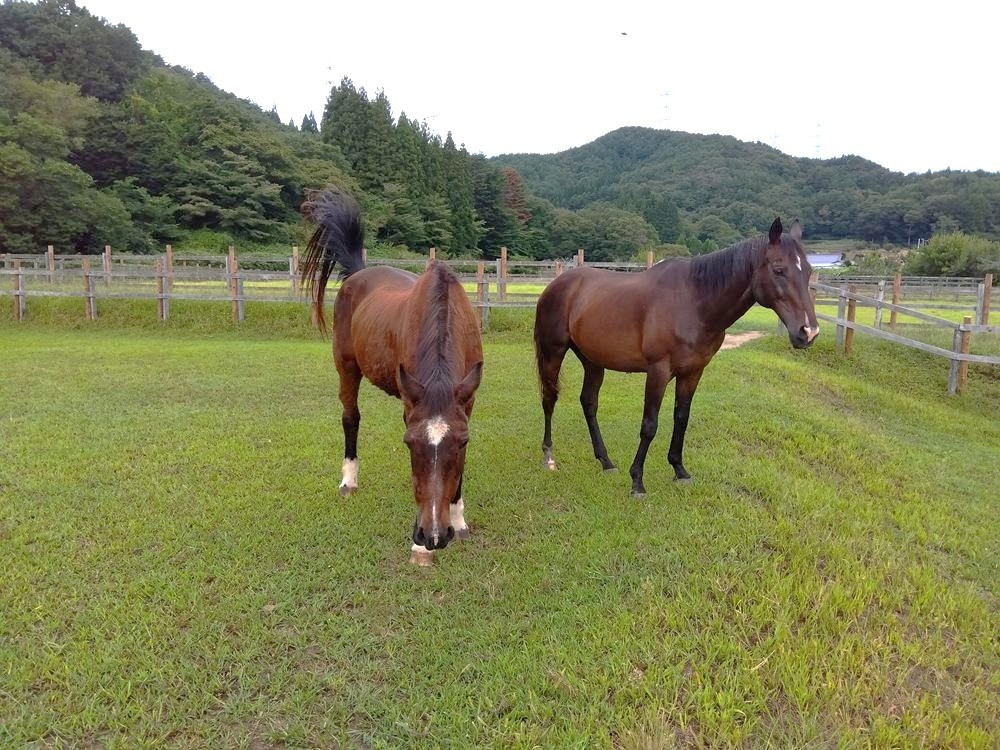 9月のご報告