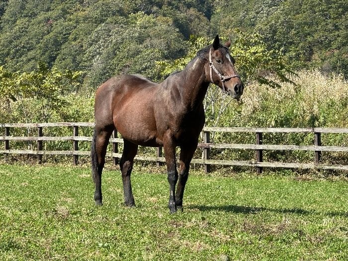 ラブハート 　10月の近況報告