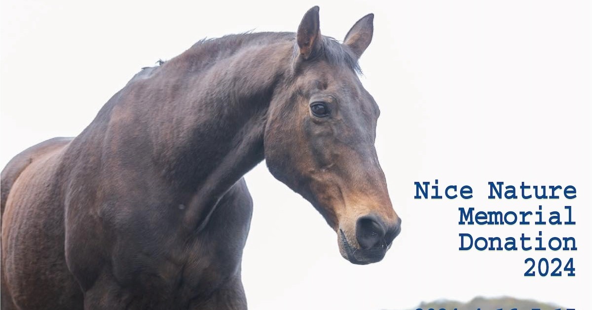 「ナイスネイチャ・メモリアルドネーション 2024」受け入れ馬一覧