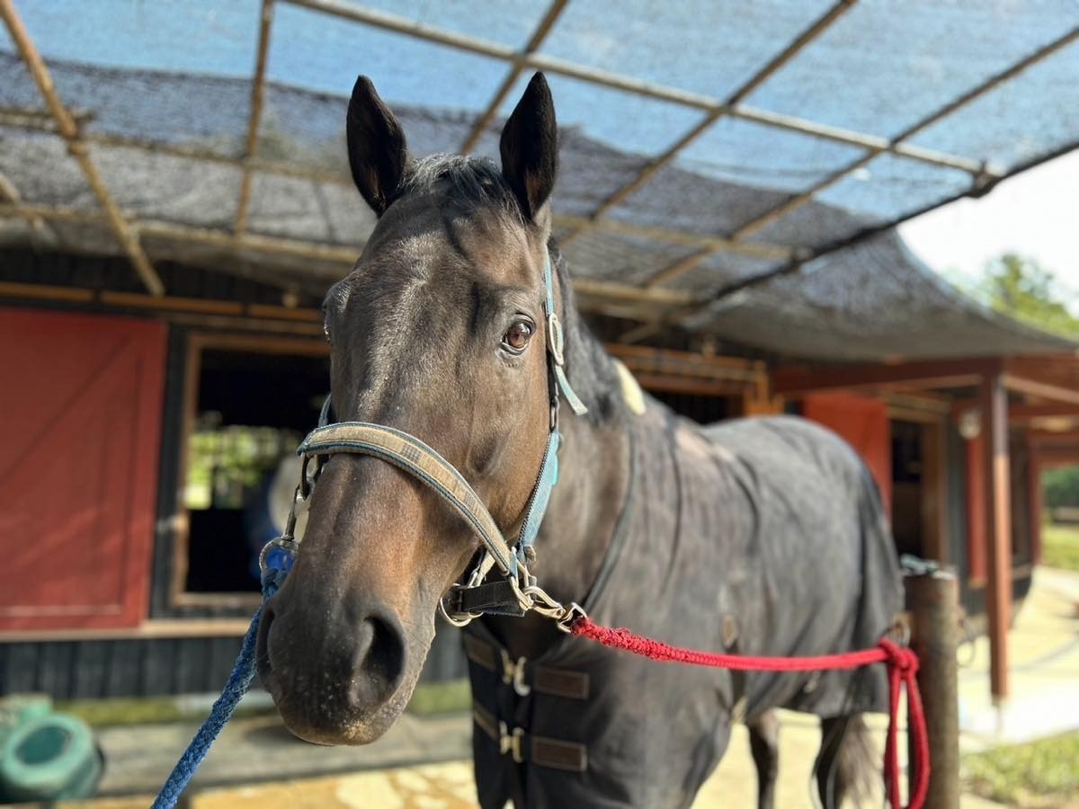 10月　近況のご報告