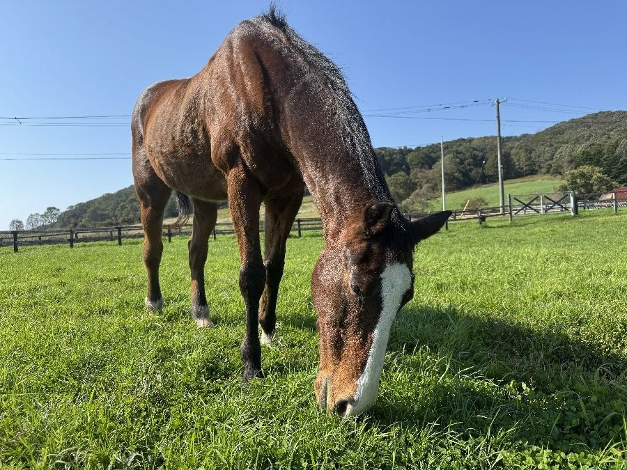 10月 近況のご報告