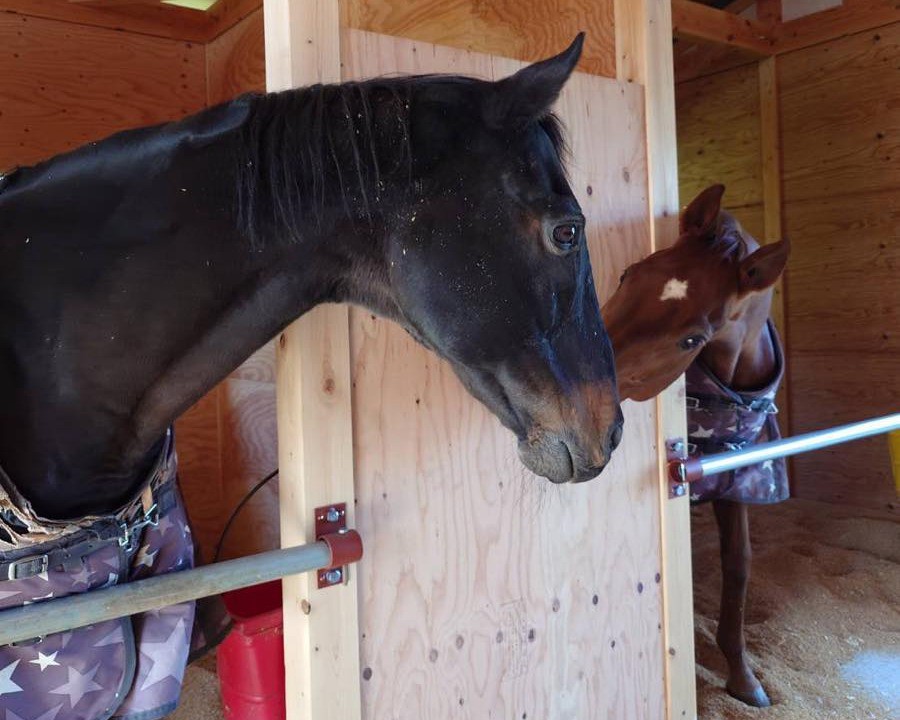 10月の近況報告