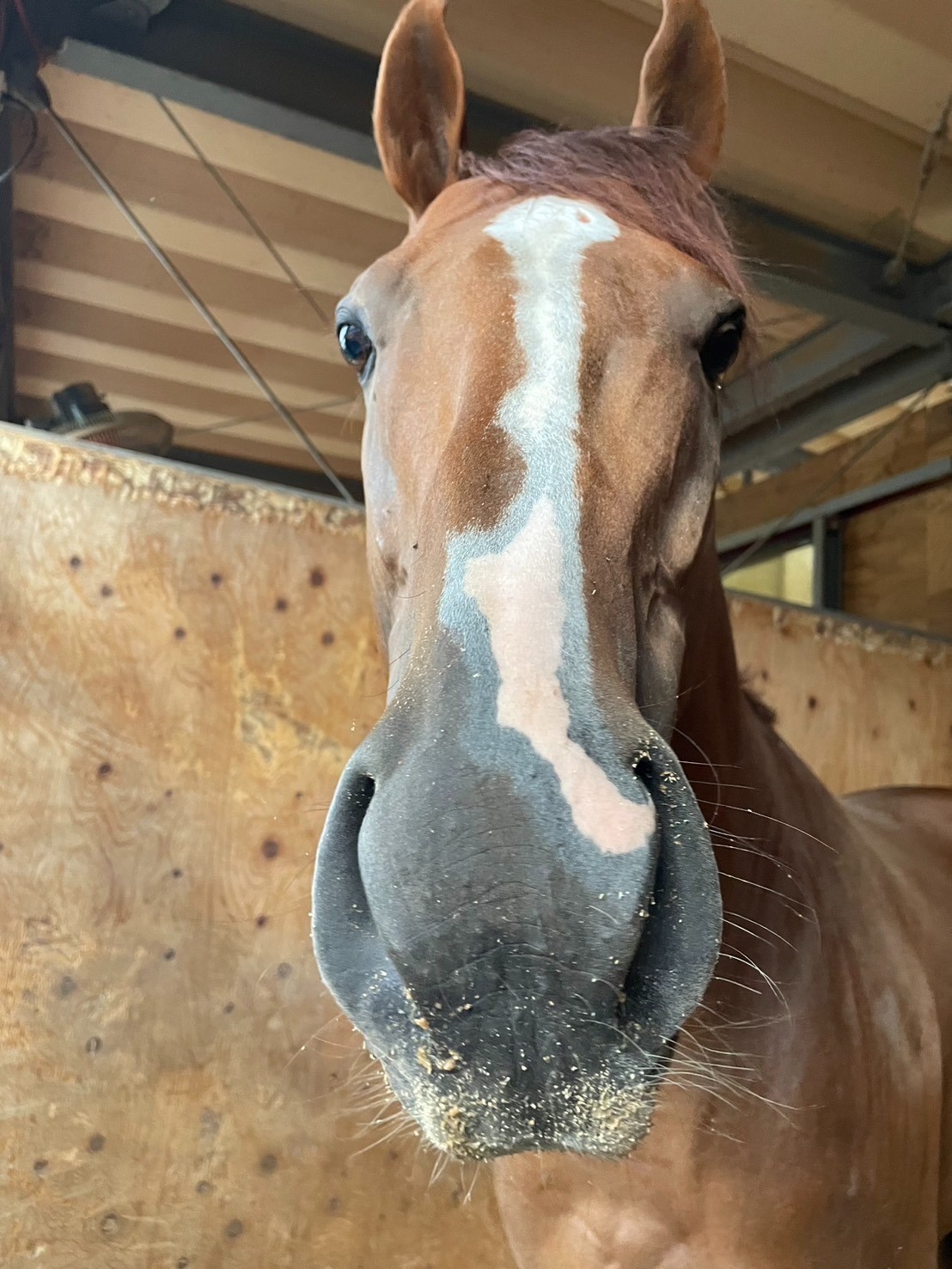 ティーズダンク