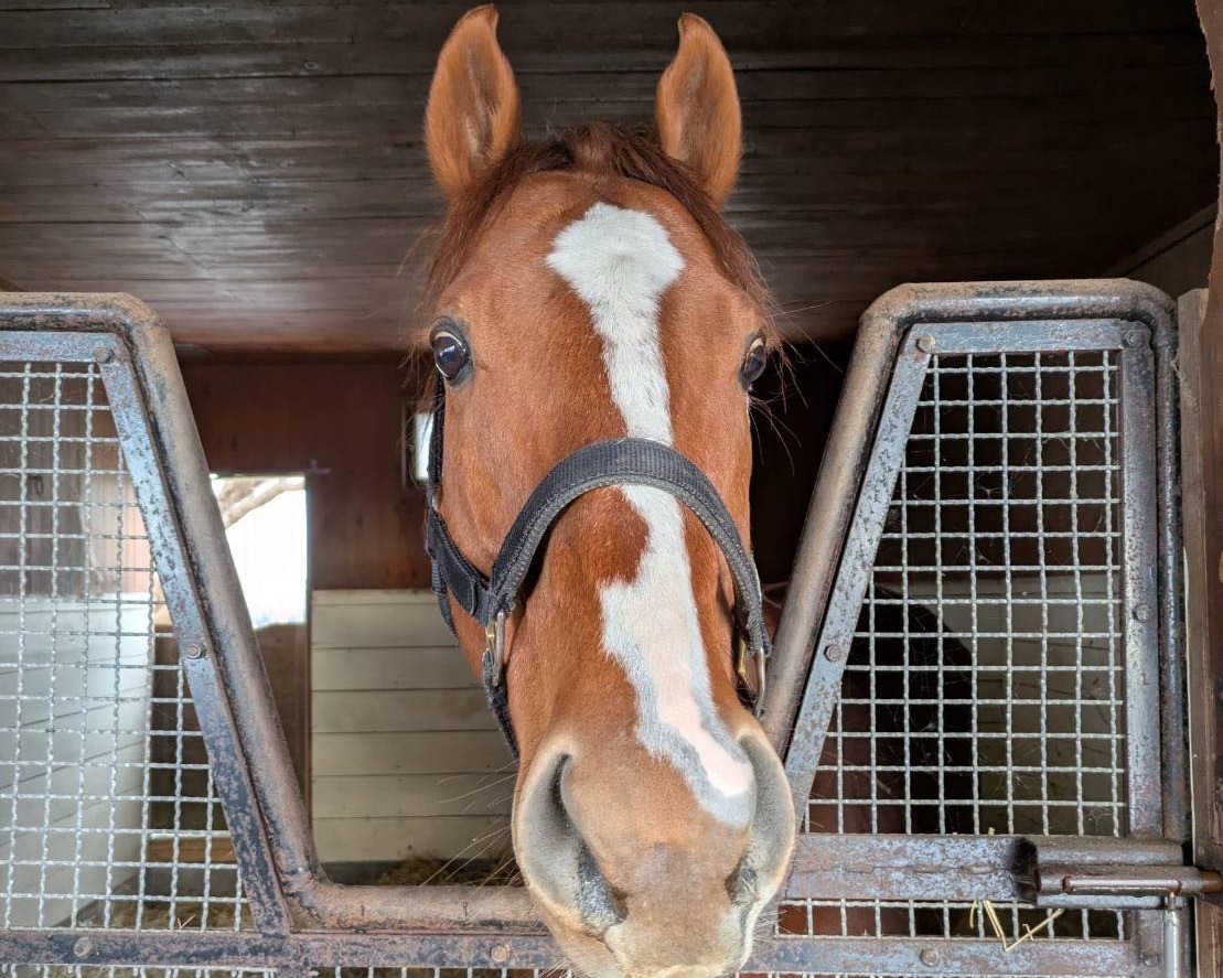 【FH移動情報】ティーズダンク 移動のご報告