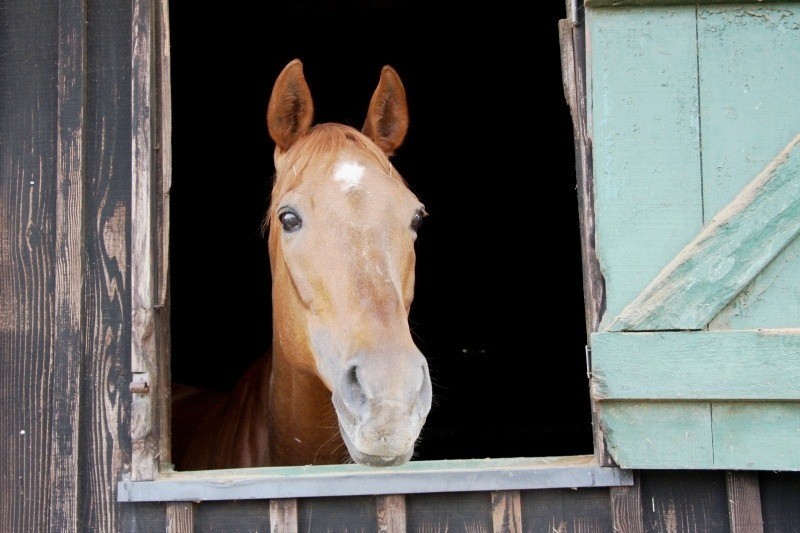 グラールストーン