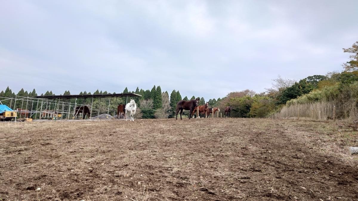 署名活動についてのご報告 2／2025年11月