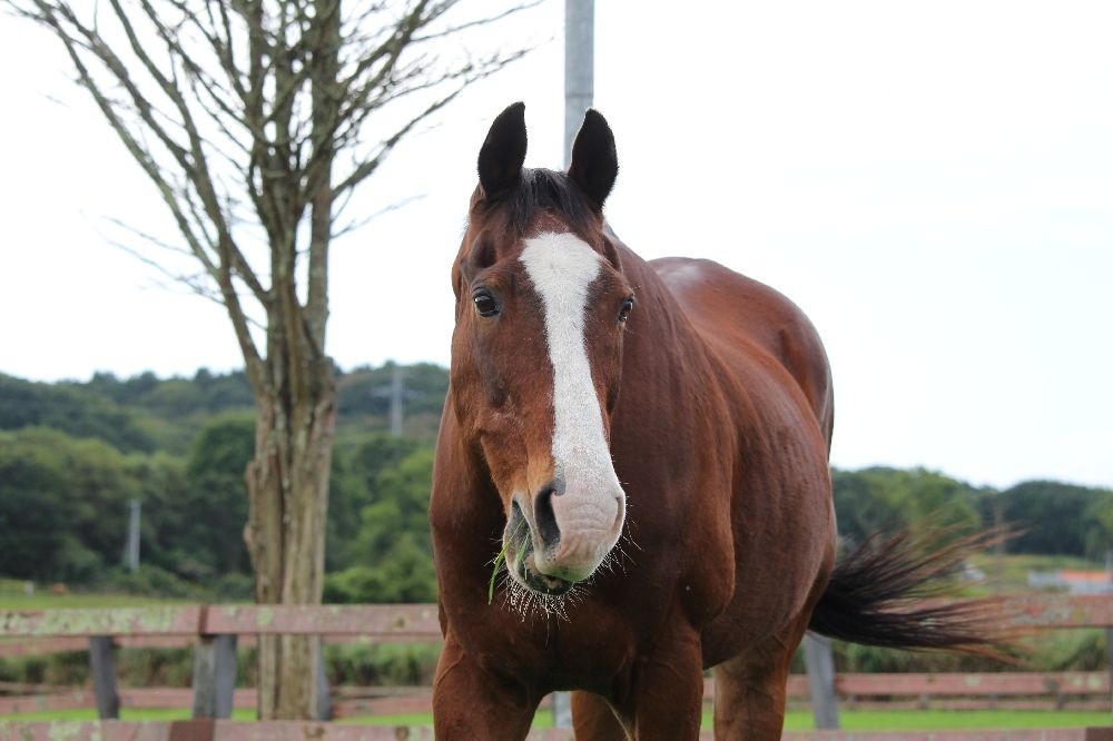 9月 近況のご報告