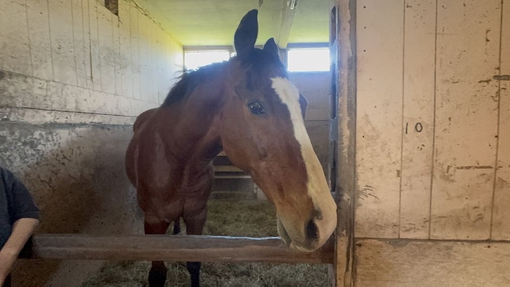 8月 近況のご報告