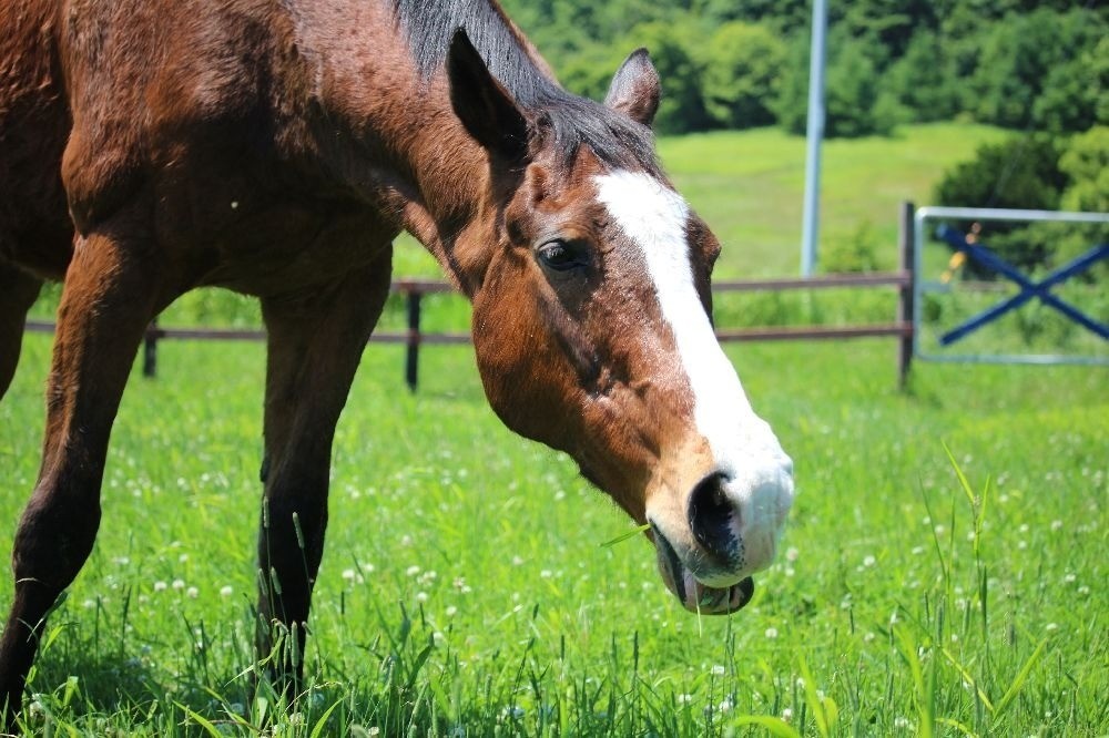 7月 近況のご報告