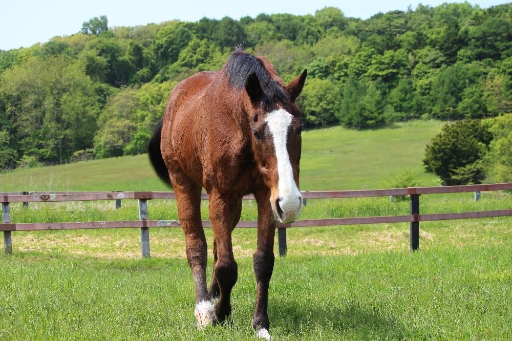 6月 近況のご報告