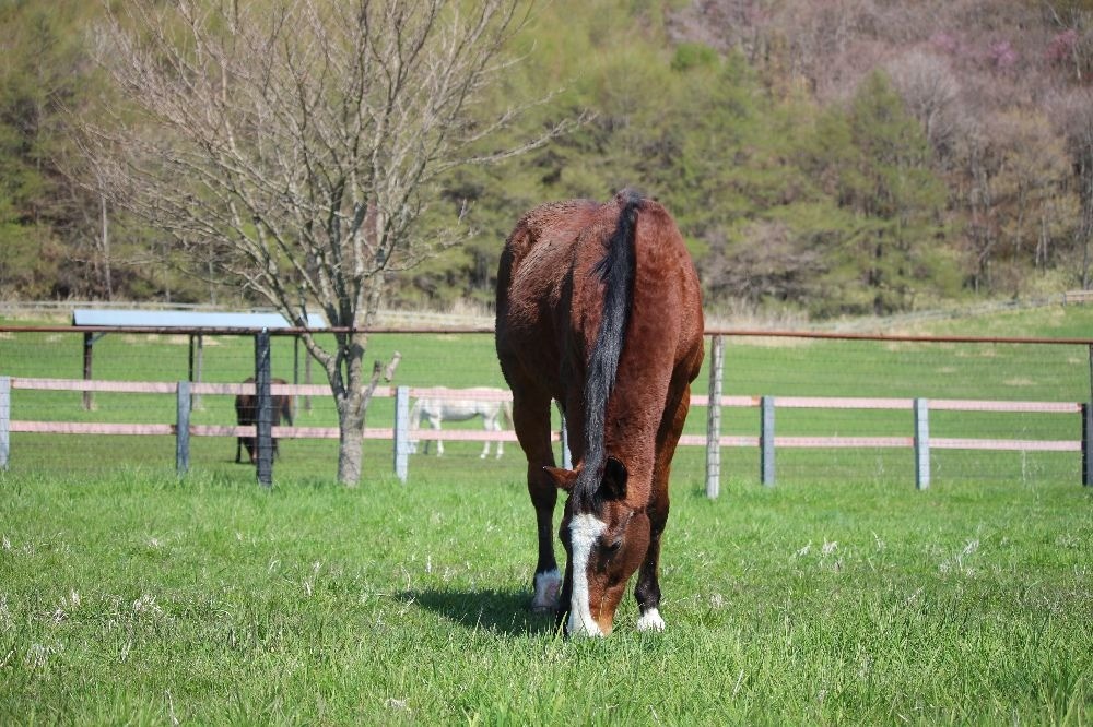 5月 近況のご報告