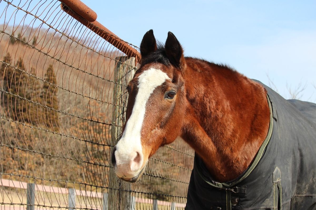 3月 近況のご報告