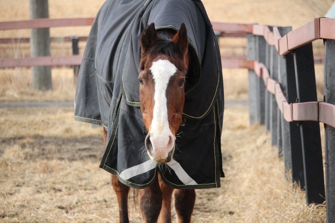 2月 近況のご報告