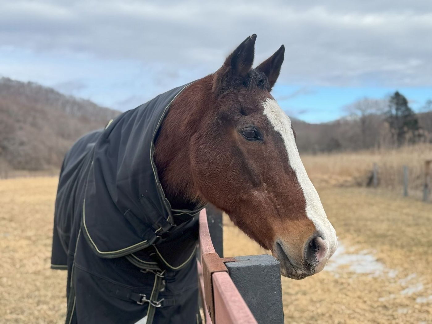 1月 近況のご報告