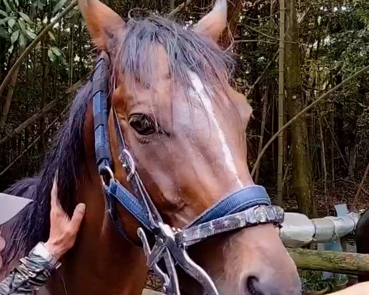 グランドボヌール　近況のご報告