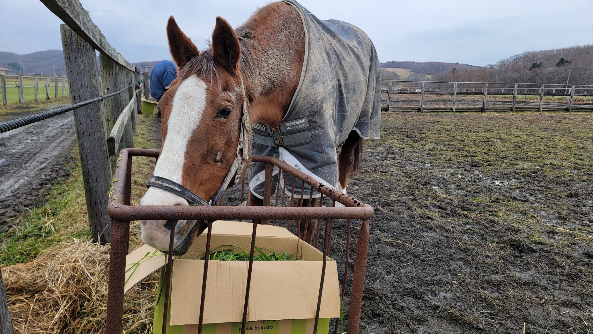 12月15日 近況のご報告
