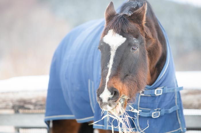 プリサイスだより