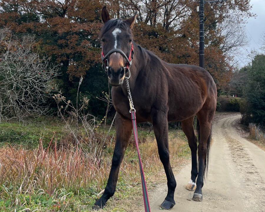 グランドボヌール　近況のご報告