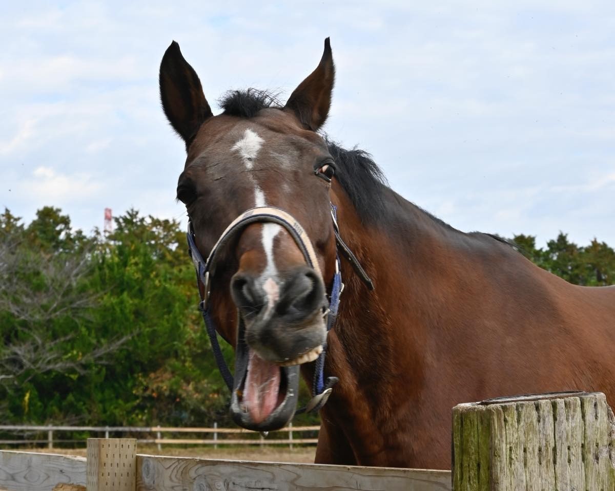 11月　近況のご報告