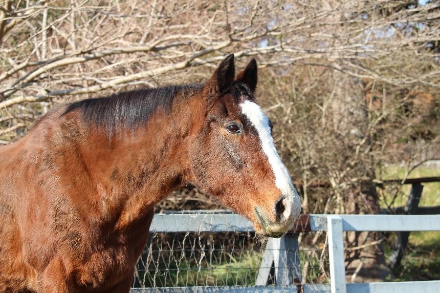 11月 近況のご報告