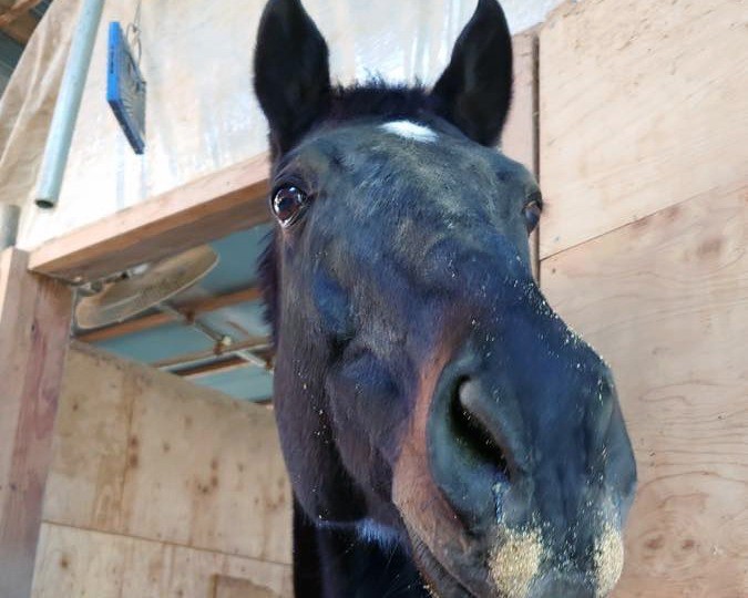 12月　近況のご報告