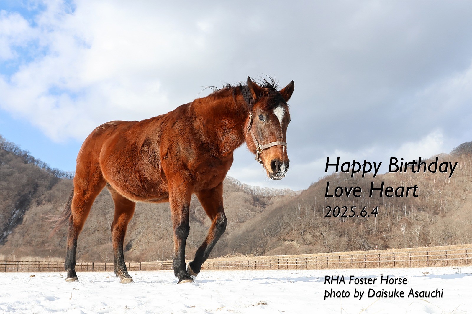 ラブハート 　22歳の誕生日おめでとう！