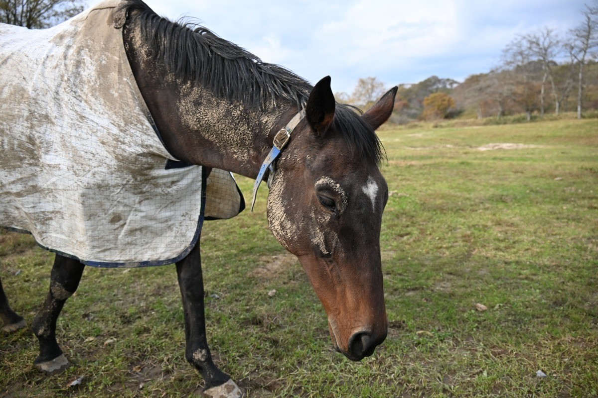 11月　近況のご報告