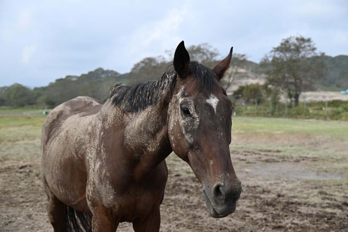 10月　近況のご報告