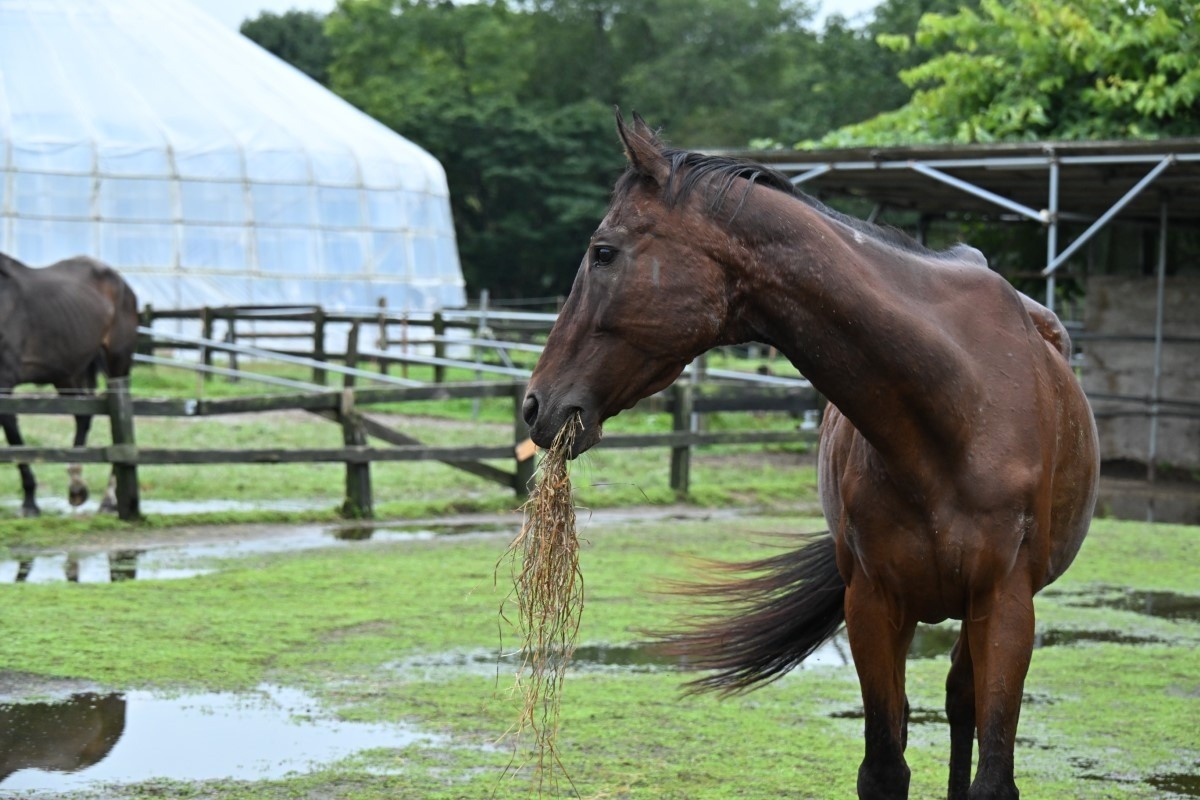 9月　近況のご報告