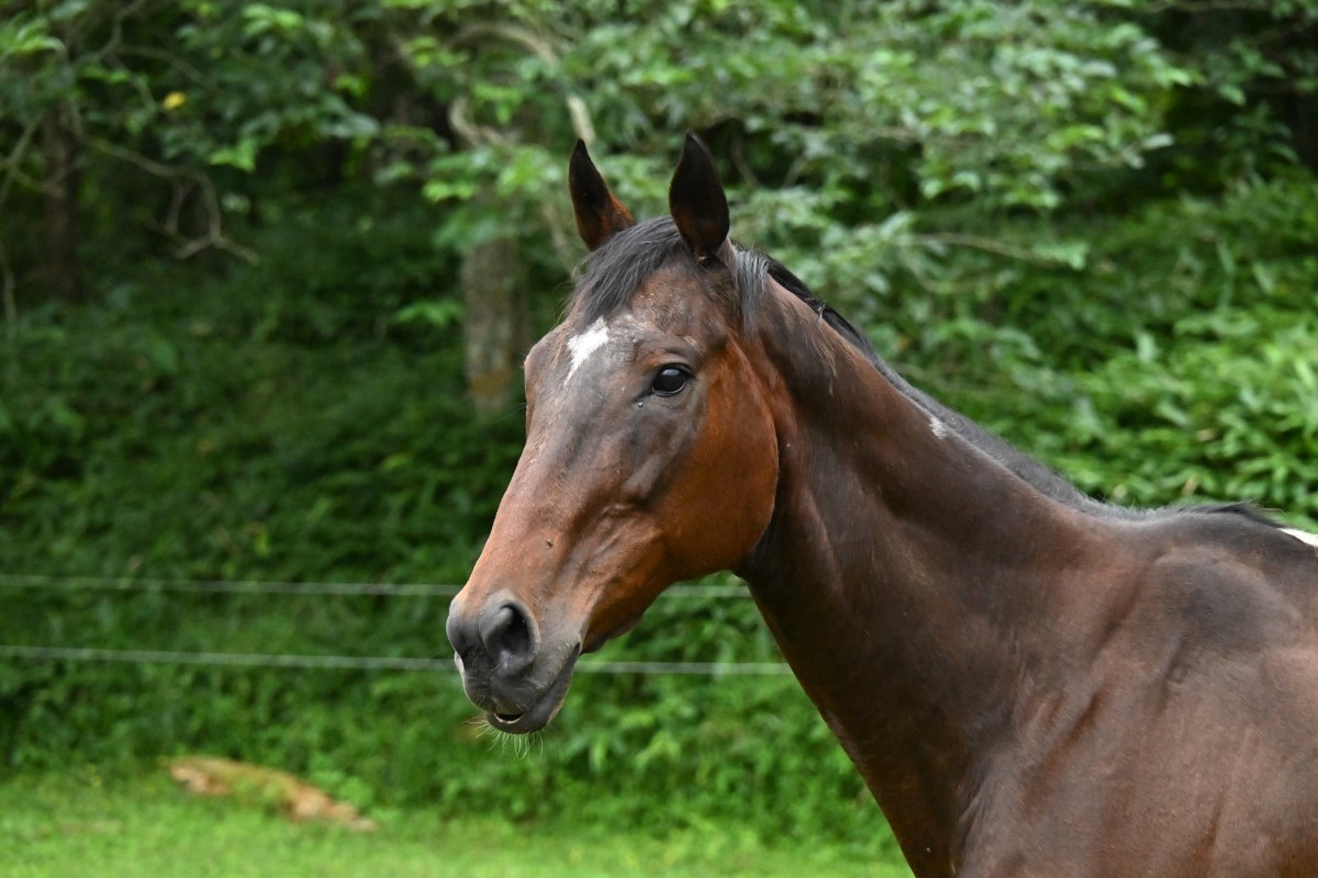 8月　近況のご報告