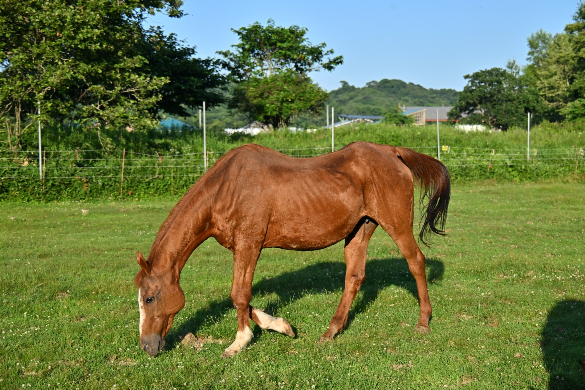 7月　近況のご報告