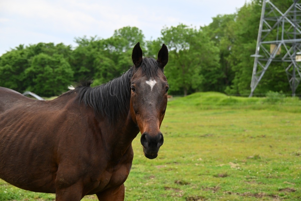 6月　近況のご報告