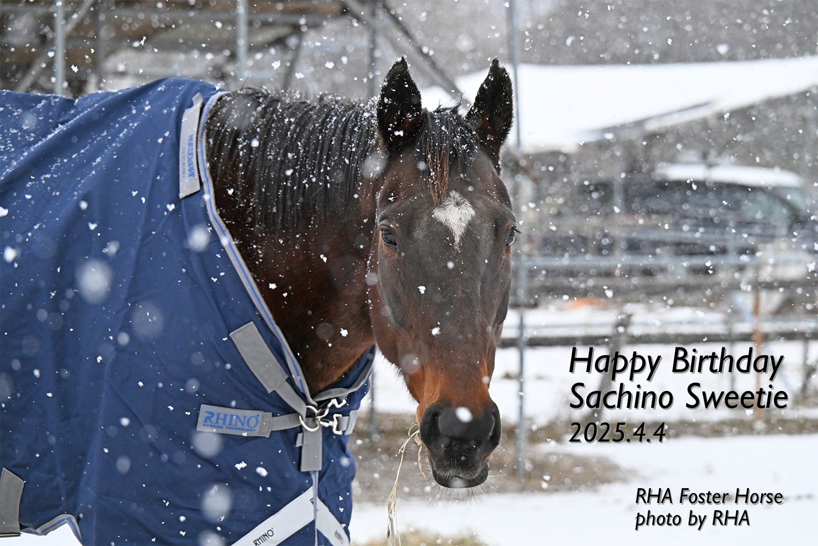 サチノスイーティー　22歳の誕生日おめでとう！