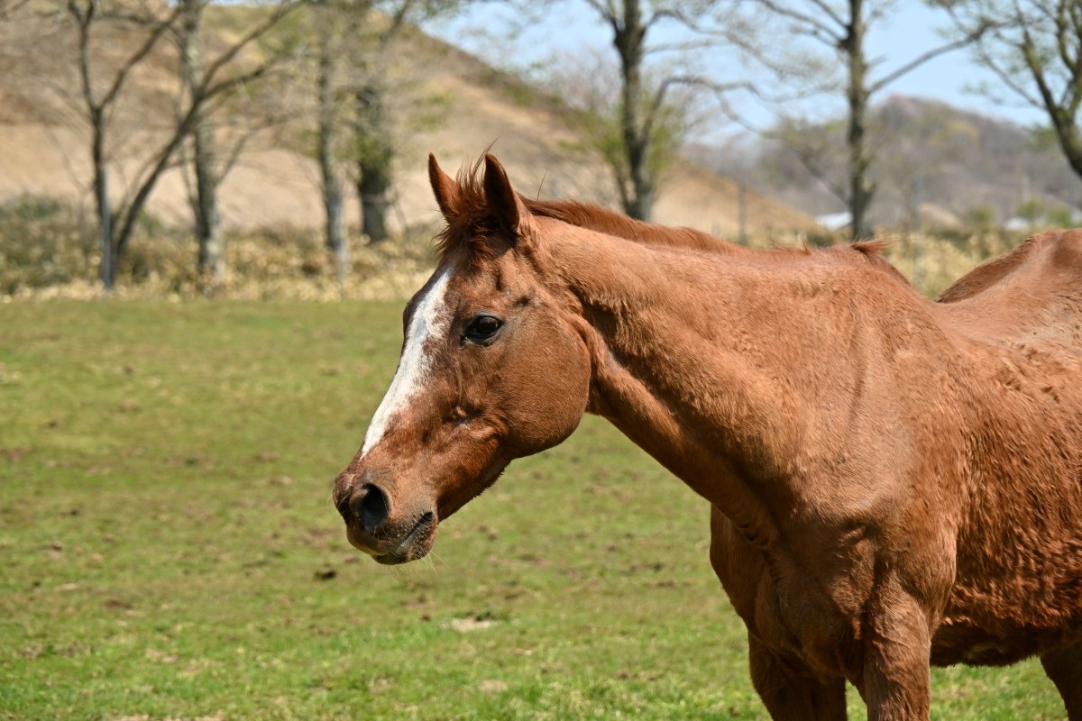5月　近況のご報告