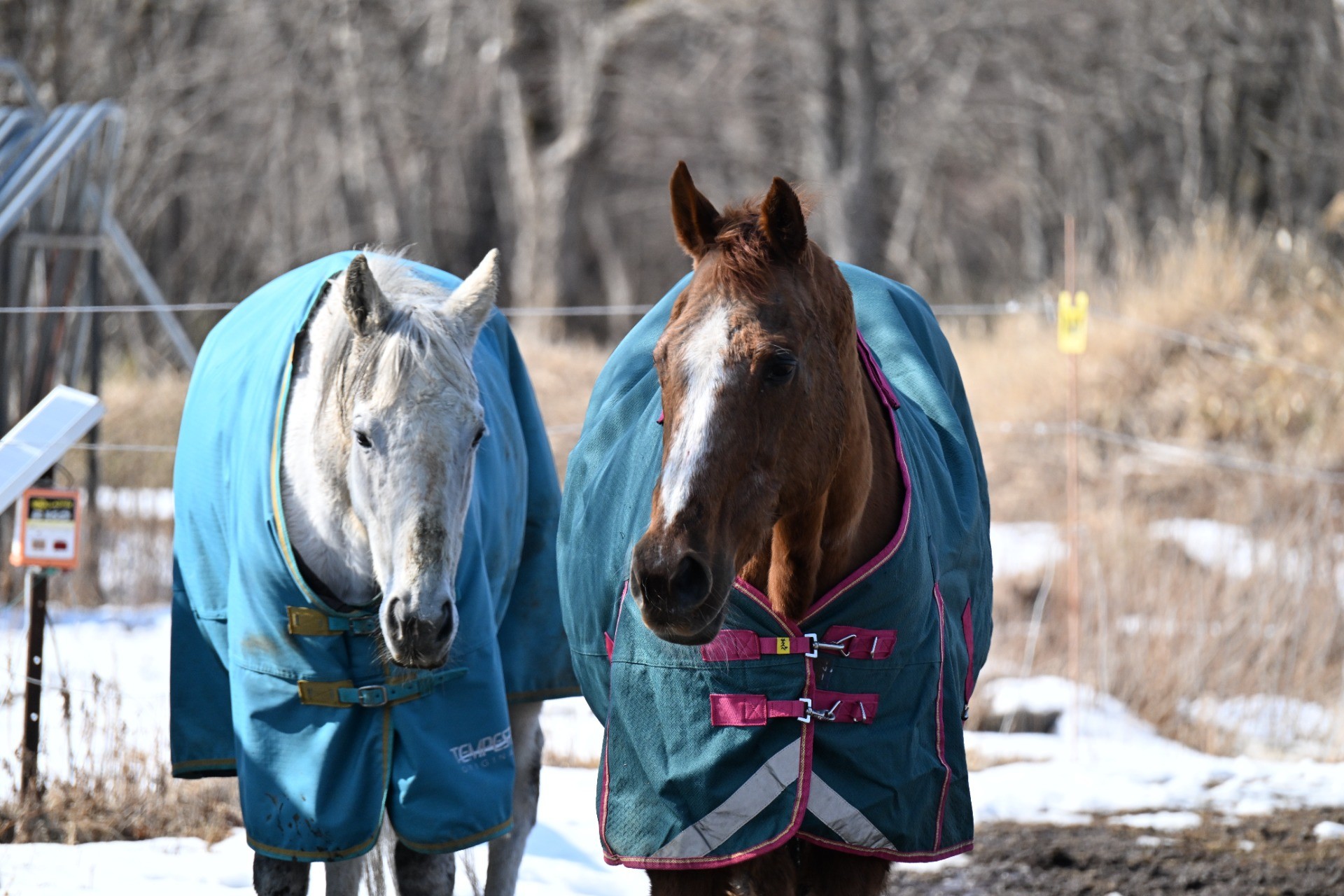 3月　近況のご報告
