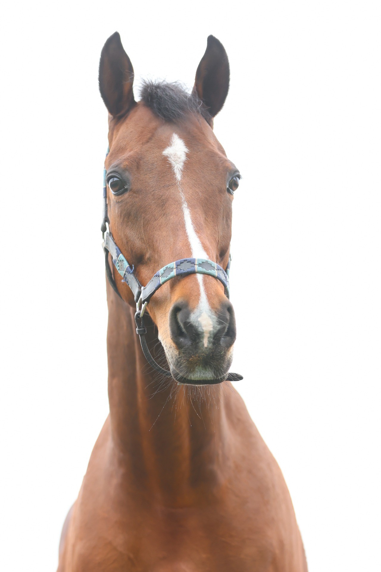 ルックトゥワイス