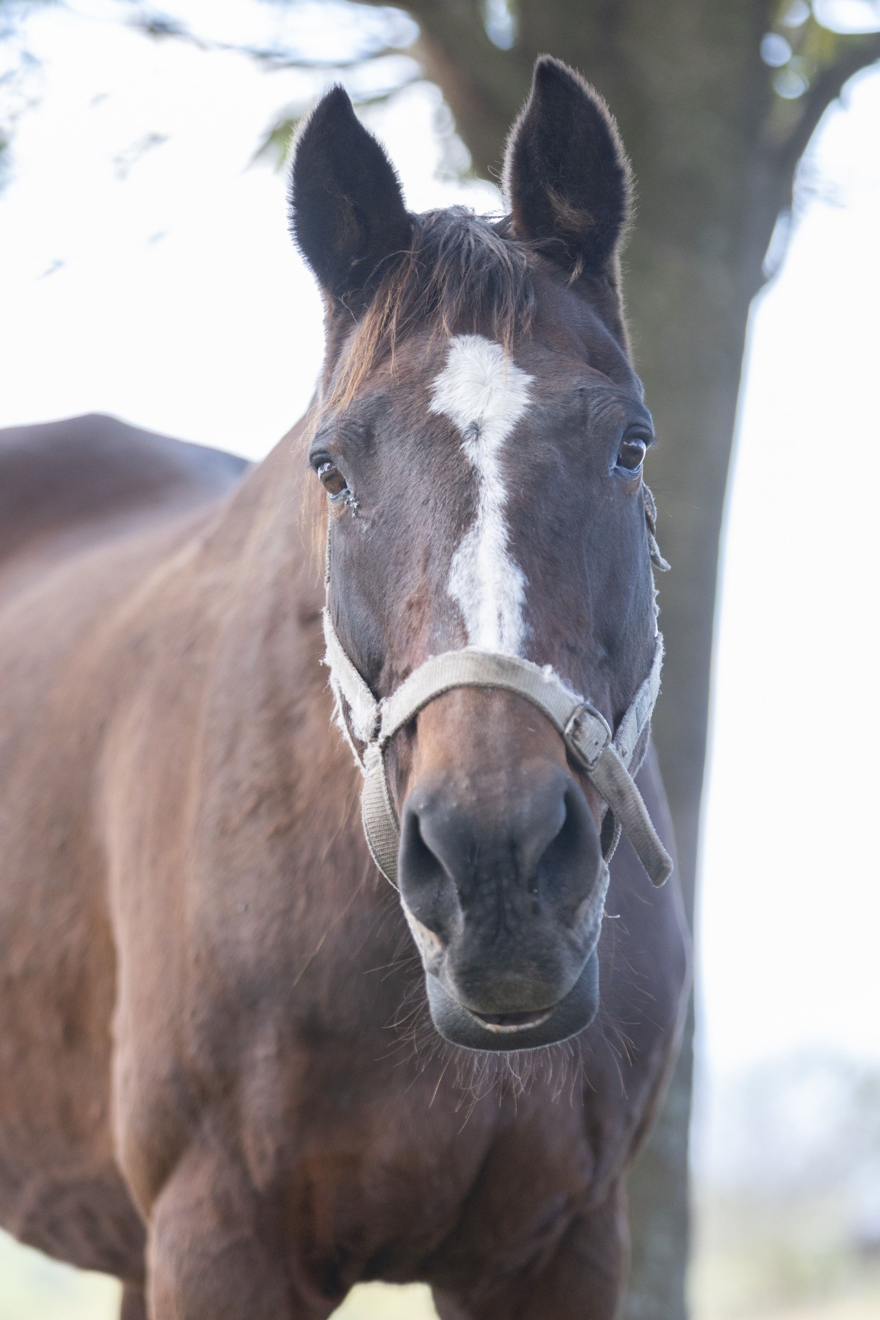 サマーナイトシティ