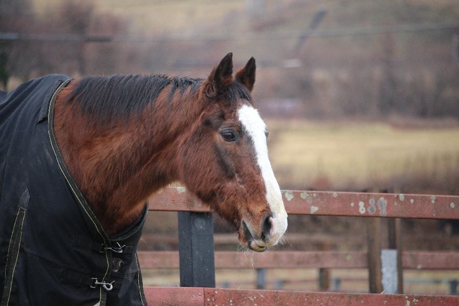 12月 近況のご報告