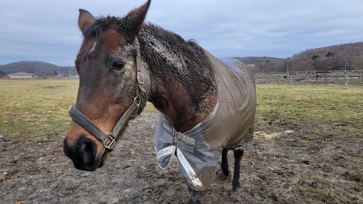 1月15日 近況のご報告