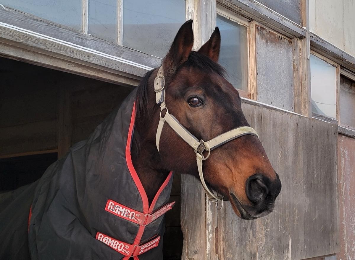 1月15日 近況のご報告